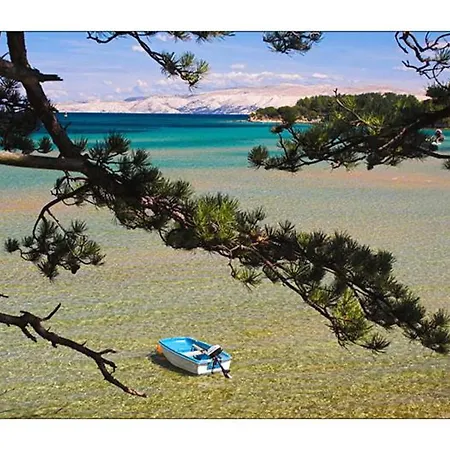 In Near Sandy شقة