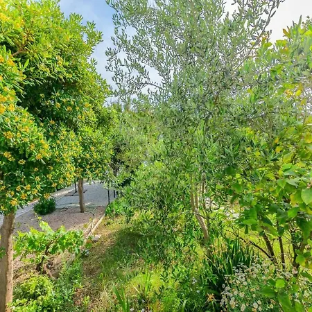 شقة In Near Sandy