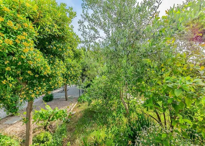 דירה In Near Sandy