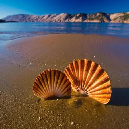 In Near Sandy Kampor