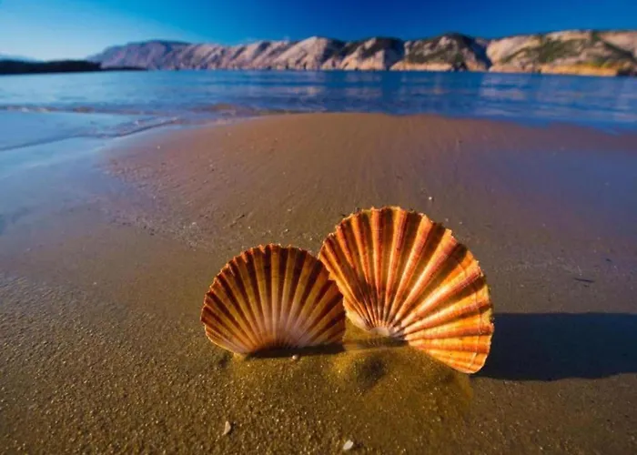 In Near Sandy Kampor