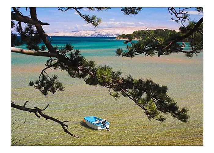 In Near Sandy شقة